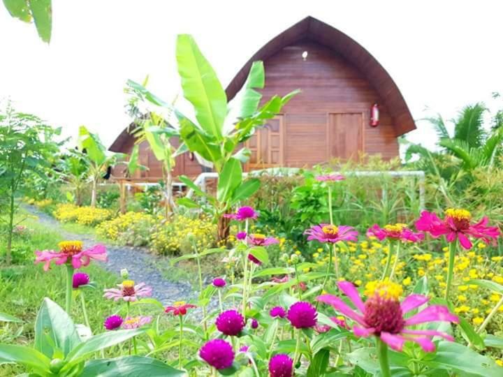 Hong Thai River Side Homestay ベンチェ エクステリア 写真